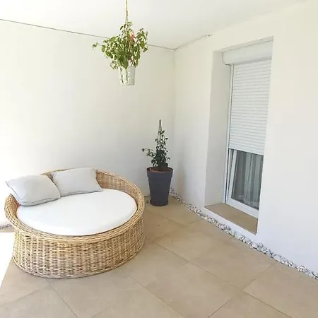 Seeyou كوتسشاش ام سي