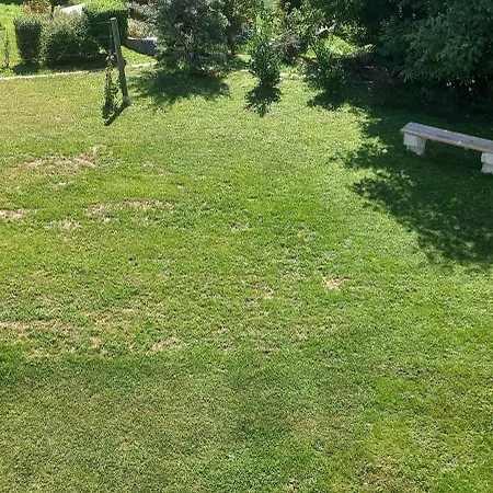 Seeyou 滨湖科伊查赫